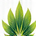 A stylized abstract icon representing a strong, vibrant plant or a powerful energy surge, symbolizing potency and effectiveness.