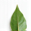 A stylized abstract icon representing a pure water droplet or a clean leaf, symbolizing purity and natural ingredients.